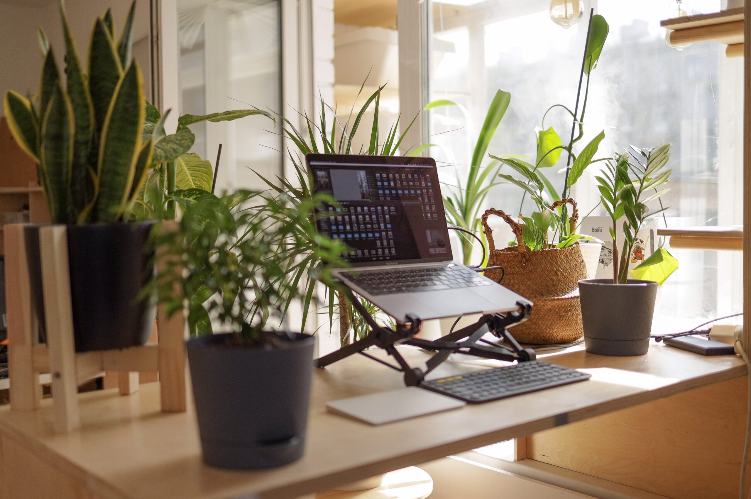 What is the Best Webcam for Working from Home?
