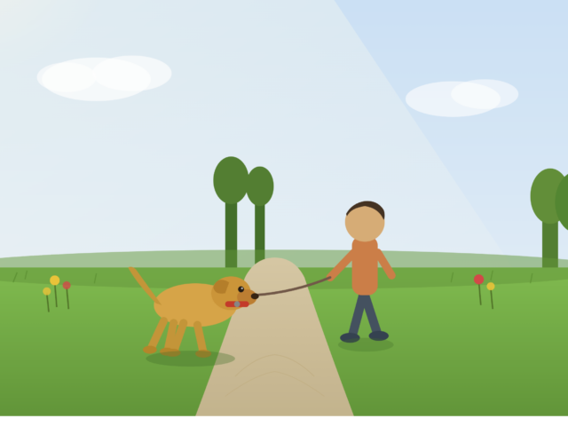 Everything You Need to Know Before Getting a Dog